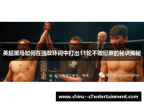 英超黑马如何在强敌环伺中打出11轮不败纪录的秘诀揭秘 英超黑马如何在强敌环伺中打出11轮不败纪录的秘诀揭秘