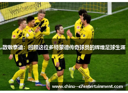 致敬泰迪:回顾这位多特蒙德传奇球员的辉煌足球生涯 致敬泰迪:回顾这位多特蒙德传奇球员的辉煌足球生涯